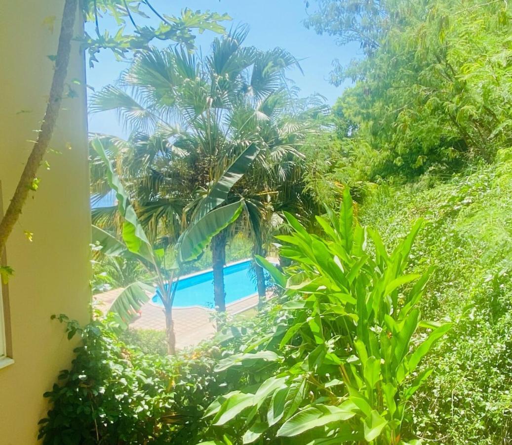 Tahiti Appartement 2 Chambres Tres Belle Vue Mer Res Tahiri 2 普纳奥亚 外观 照片